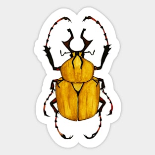 Scarab Sticker